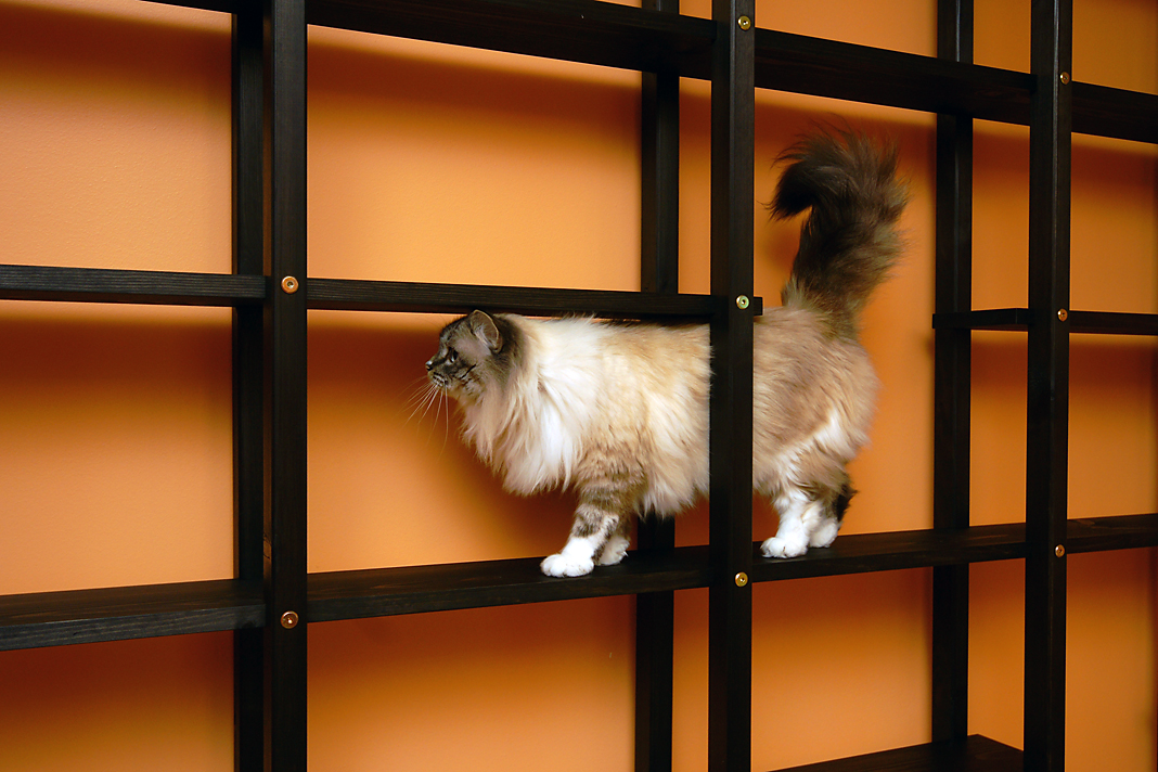 Hylly 2/9 270x96cm Wenge - Image 5